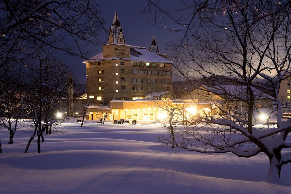 ロイヤル胎内冬